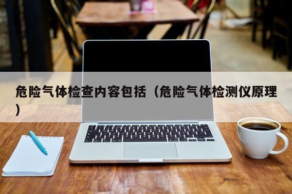 危险气体检查内容包括(危险气体检测仪原理)