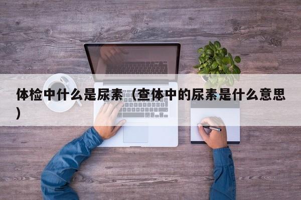 体检中什么是尿素(查体中的尿素是什么意思)