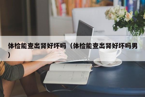 体检能查出肾好坏吗(体检能查出肾好坏吗男)